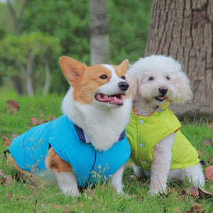 Protect Your Pet with Our Thickened Waterproof Outdoor Pet Jacket