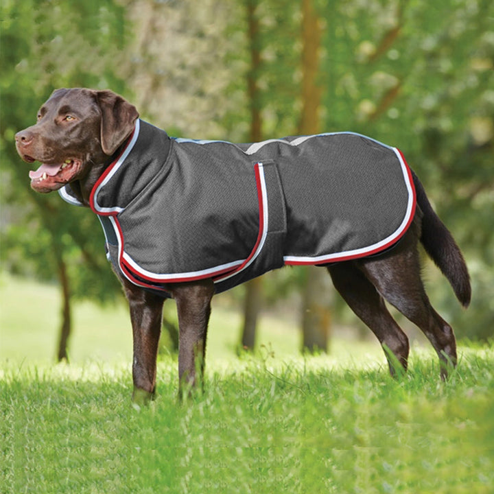 Keep Your Pet Cozy This Season with Our Autumn Winter Warm Waterproof Pet Leisure Jacket