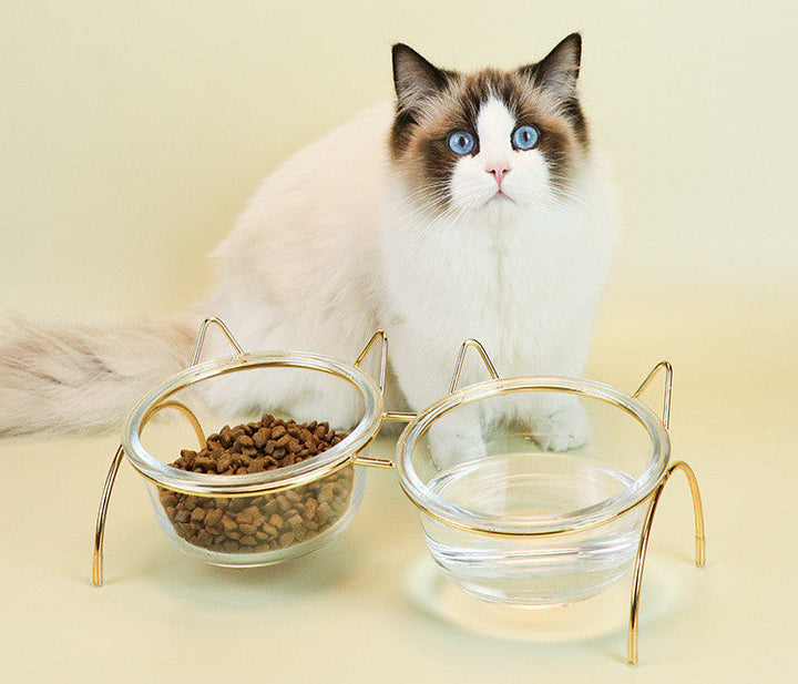 Elevate Your Pet's Dining Experience with Our Glass Pet Bowl